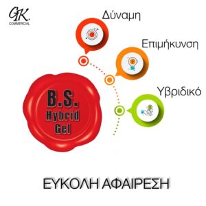 B.S. Hybrid Gel System (gel χτισίματος)