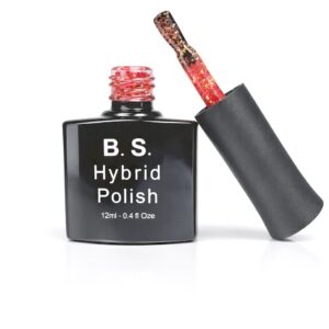 CH-02 Celebrity Hollywood